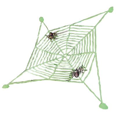 Spiderweb with 2 spiders