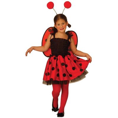 Costume small ladybeetle