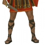 Sandly romnskch legion 