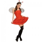 Ladybug dress Dress, wings, antennas