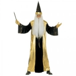Wizard - size L This wizard costume is elegant and charming. The costume includes a cloak and, of course, a hat. The cloak is made of shiny satin that resembles the night sky. It is available in three colors: blue, gold, and red. The hat has the same color as the cloak and is adorned with gold trim. Its conical shape gives the wizard a mystical look and adds to their authority. This costume is perfect for a magical performance or celebration and will certainly be a charming addition for any wizard or witch.