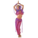 Harem dancer Headband with veil, top, vest and pants with attached veil